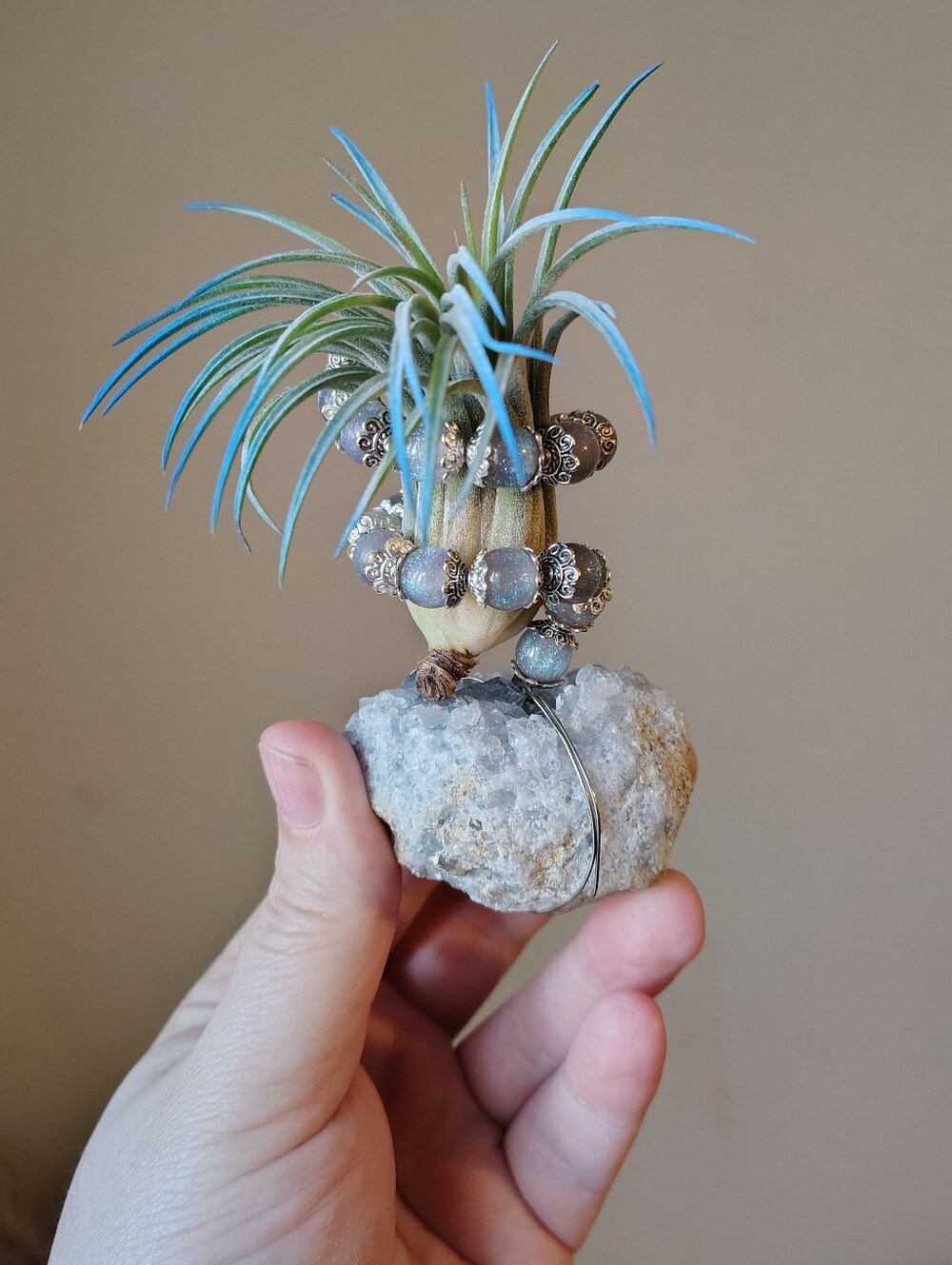 Air Plant & Handmade Celestite Crystal Air Plant Holder
